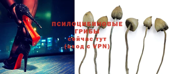 молекула духа Кодинск