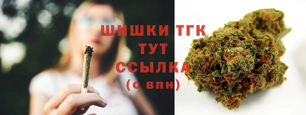 PSILOCYBIN Козловка