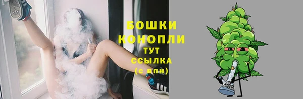 молекула духа Кодинск