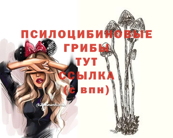 молекула духа Кодинск