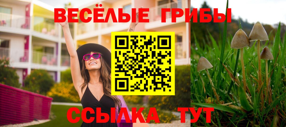 Галлюциногенные грибы мицелий  Вход с VPN  Кубинка 