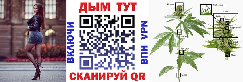Шишки марихуана THC 21%  Кубинка 